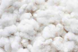 Cotton Fiber
